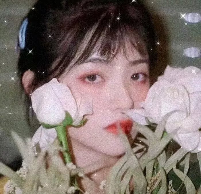 天机密令